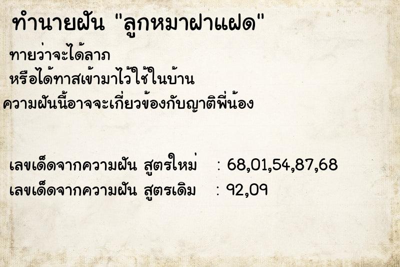 ทำนายฝัน ลูกหมาฝาแฝด ทำนายฝัน ลูกหมาฝาแฝด