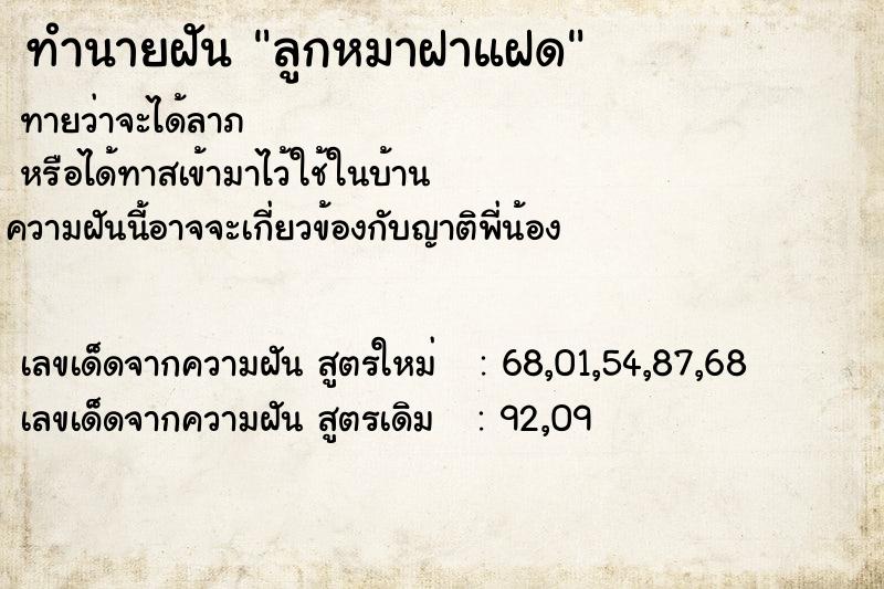 ทำนายฝัน ลูกหมาฝาแฝด ตำราโบราณ แม่นที่สุดในโลก