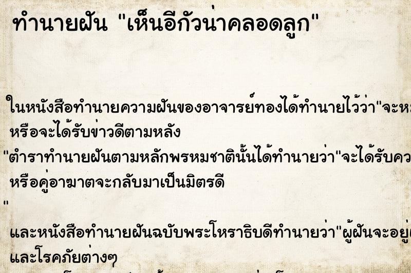 ทำนายฝันทำนายฝันเห็นอีกัวน่าคลอดลูก