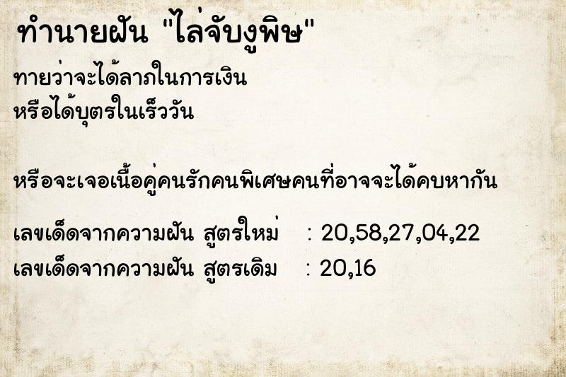 ทำนายฝันไล่จับงูพิษ ทำนายฝันทำนายฝันไล่จับงูพิษ