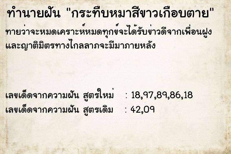 ทำนายฝันทำนายฝันกระทืบหมาสีขาวเกือบตาย