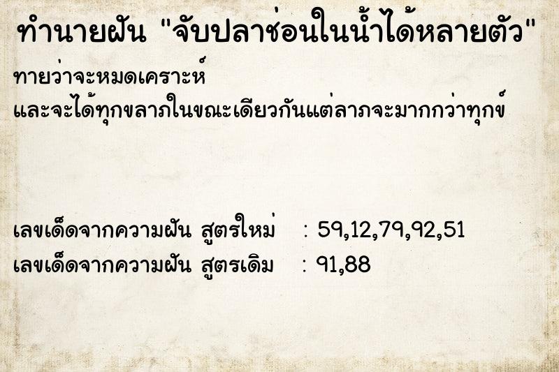ทำนายฝันจับปลาช่อนในน้ำได้หลายตัว ทำนายฝันทำนายฝันจับปลาช่อนในน้ำได้หลายตัว