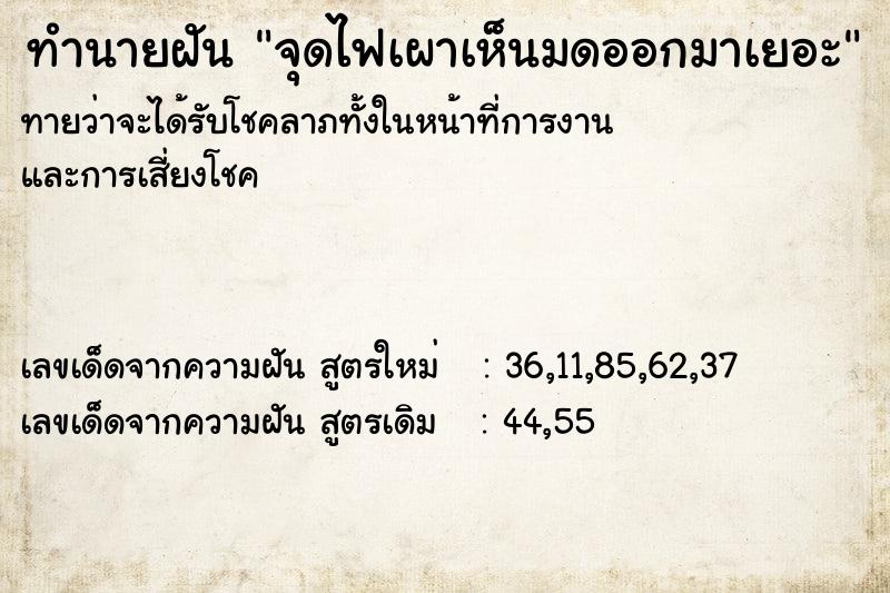 ทำนายฝันทำนายฝันจุดไฟเผาเห็นมดออกมาเยอะ