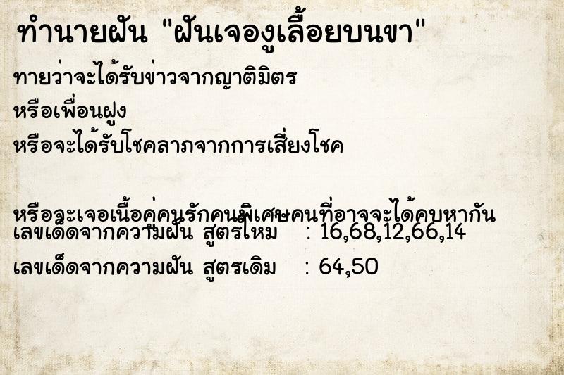 ทำนายฝันฝันเจองูเลื้อยบนขา ทำนายฝันทำนายฝันฝันเจองูเลื้อยบนขา