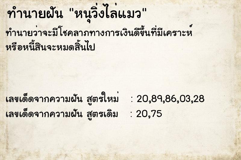ทำนายฝันทำนายฝันหนุวิ่งไล่แมว