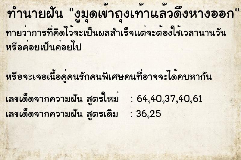 ทำนายฝันทำนายฝันงูมุดเข้าถุงเท้าแล้วดึงหางออก