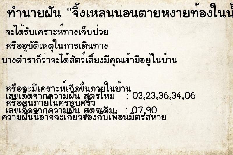 ทำนายฝันทำนายฝันจิ้งเหลนนอนตายหงายท้องในน้ำ