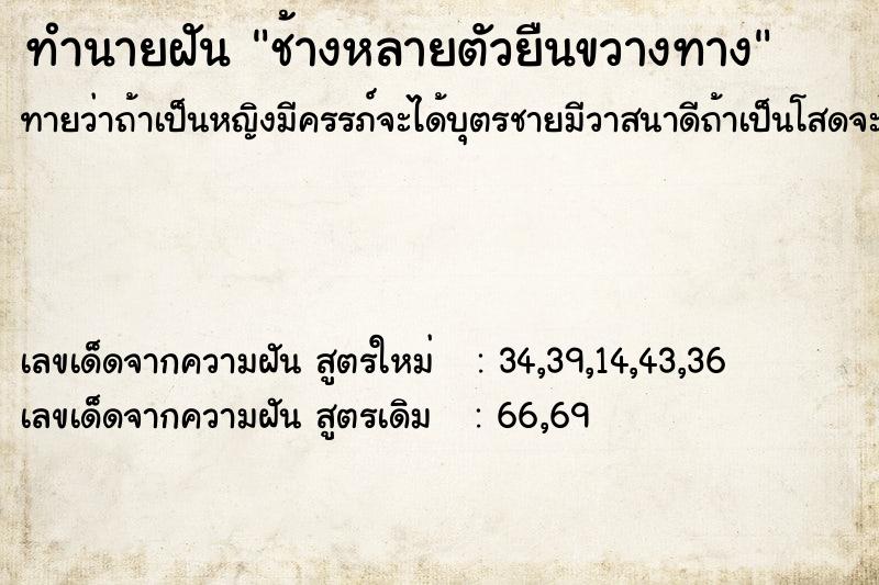 ทำนายฝันทำนายฝันช้างหลายตัวยืนขวางทาง