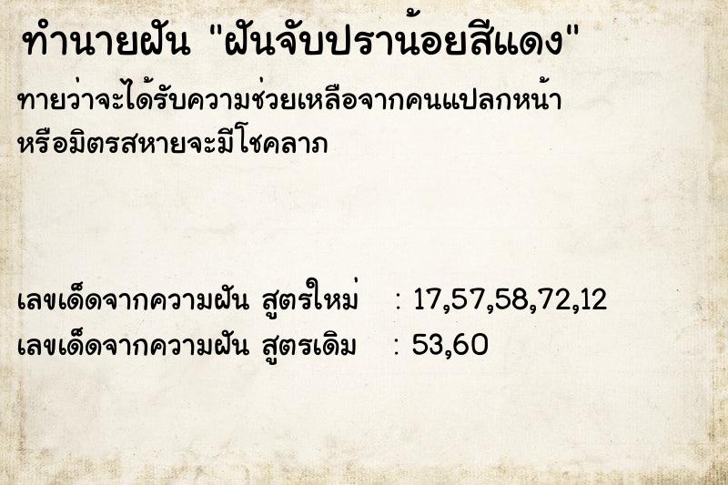 ทำนายฝันฝันจับปราน้อยสีแดง ทำนายฝันทำนายฝันฝันจับปราน้อยสีแดง