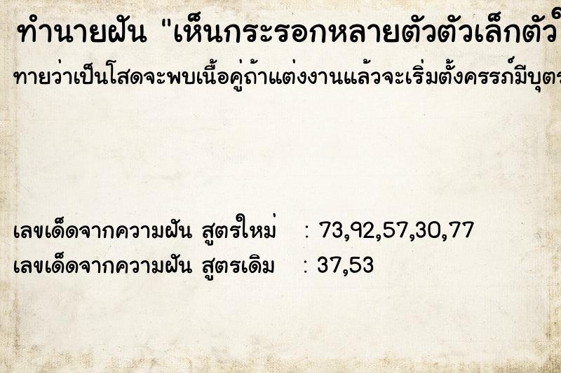 ทำนายฝัน เห็นกระรอกหลายตัวตัวเล็กตัวใหญ่