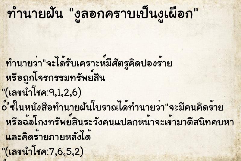 ทำนายฝันงูลอกคราบเป็นงูเผือก ทำนายฝันทำนายฝันงูลอกคราบเป็นงูเผือก