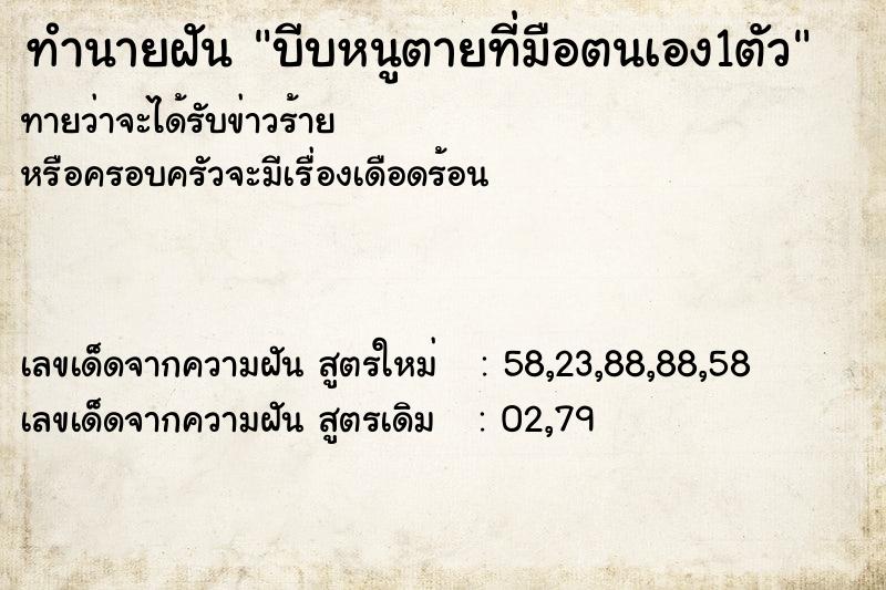 ทำนายฝันทำนายฝันบีบหนูตายที่มือตนเอง1ตัว