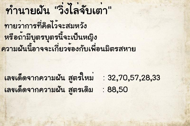 ทำนายฝันวิ่งไล่จับเต่า ทำนายฝันทำนายฝันวิ่งไล่จับเต่า