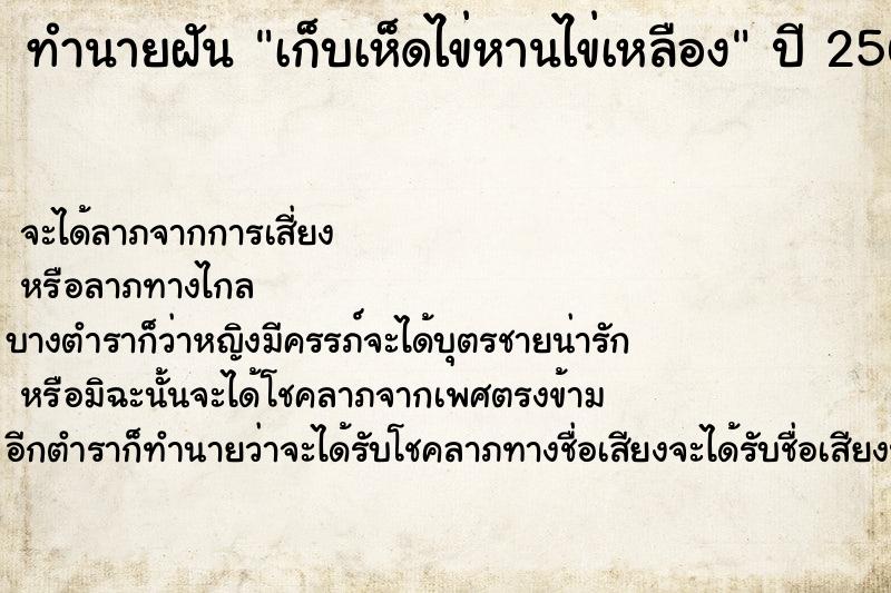 ทำนายฝันเก็บเห็ดไข่หานไข่เหลือง ทำนายฝันทำนายฝันเก็บเห็ดไข่หานไข่เหลือง