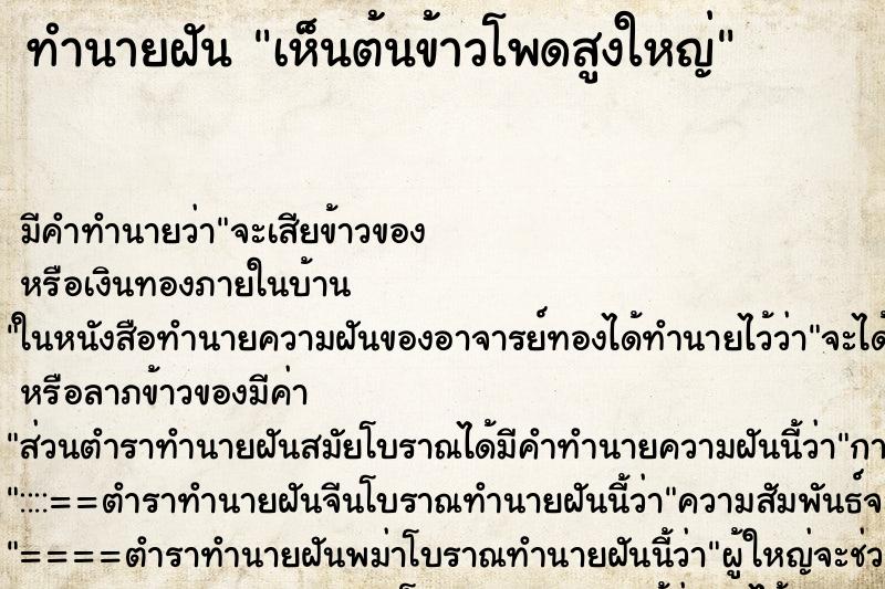 ทำนายฝันทำนายฝันเห็นต้นข้าวโพดสูงใหญ่