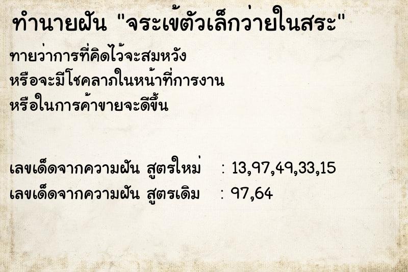 ทำนายฝันจระเข้ตัวเล็กว่ายในสระ ทำนายฝันทำนายฝันจระเข้ตัวเล็กว่ายในสระ