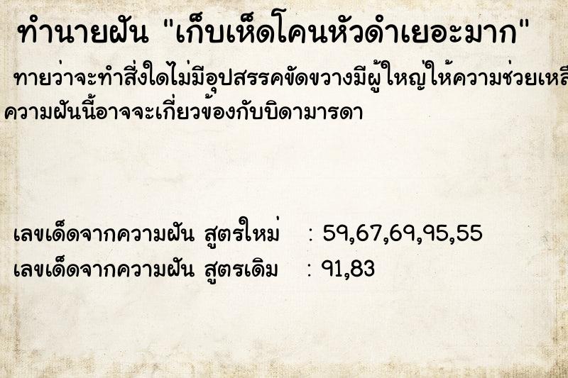 ทำนายฝัน เก็บเห็ดโคนหัวดำเยอะมาก ตำราโบราณ แม่นที่สุดในโลก