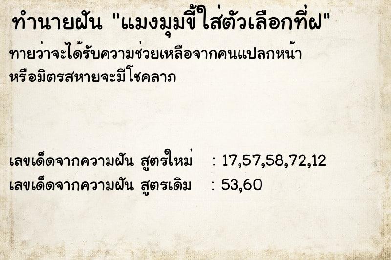 ทำนายฝันทำนายฝันแมงมุมขี้ใส่ตัวเลือกที่ฝ