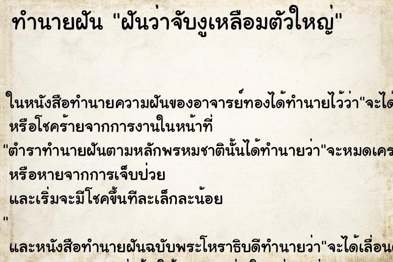 ทำนายฝันฝันว่าจับงูเหลือมตัวใหญ่ ทำนายฝันทำนายฝันฝันว่าจับงูเหลือมตัวใหญ่