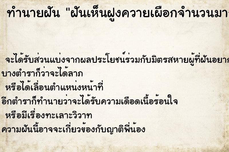 ทำนายฝันทำนายฝันฝันเห็นฝูงควายเผือกจำนวนมาก
