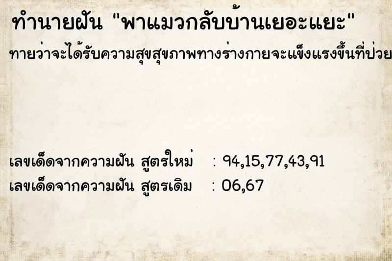 ทำนายฝันทำนายฝันพาแมวกลับบ้านเยอะแยะ