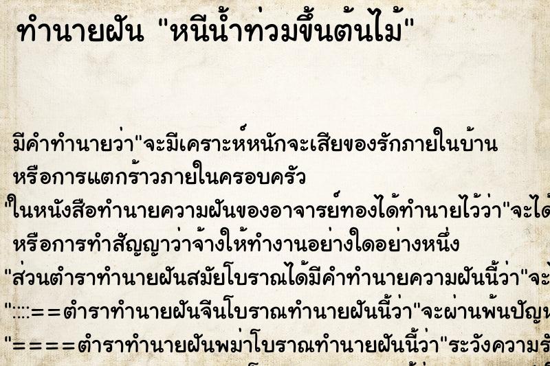 ทำนายฝัน หนีน้ำท่วมขึ้นต้นไม้ ทำนายฝัน หนีน้ำท่วมขึ้นต้นไม้