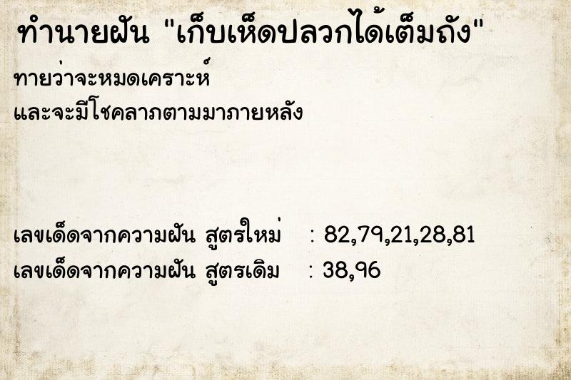 ทำนายฝัน เก็บเห็ดปลวกได้เต็มถัง ทำนายฝัน เก็บเห็ดปลวกได้เต็มถัง