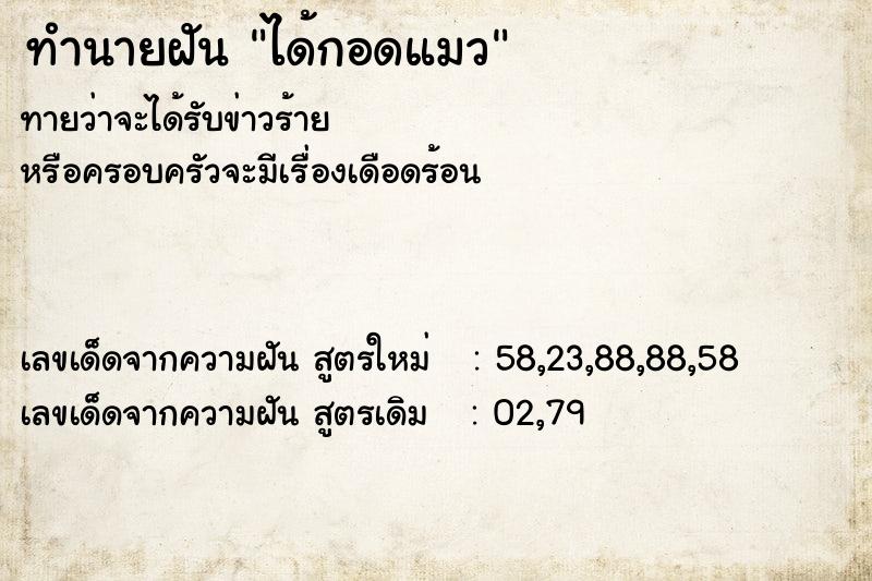 ทำนายฝันทำนายฝันได้กอดแมว