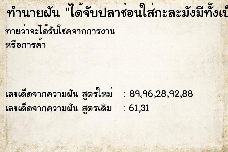 ทำนายฝันทำนายฝันได้จับปลาช่อนใส่กะละมังมีทั้งเป็นและตาย