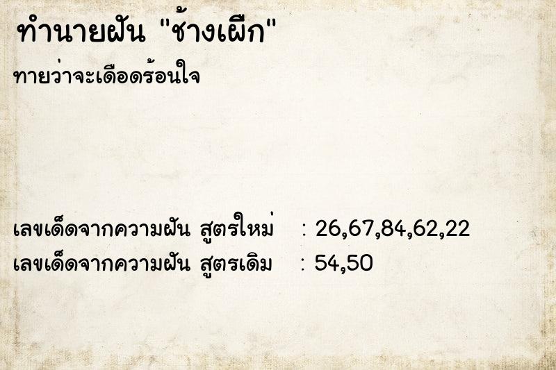 ทำนายฝันทำนายฝันช้างเผืิิก