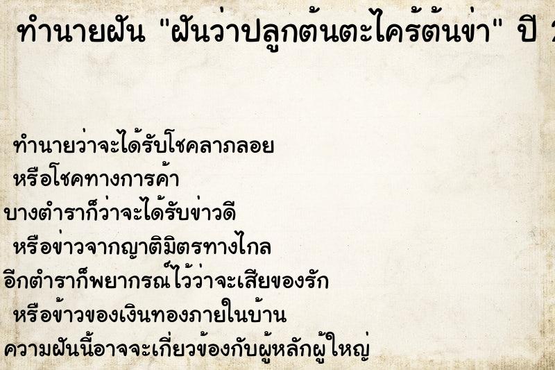 ทำนายฝันทำนายฝันฝันว่าปลูกต้นตะไคร้ต้นข่า