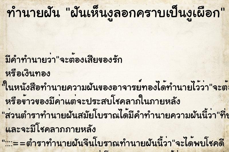 ทำนายฝัน ฝันเห็นงูลอกคราบเป็นงูเผือก ทำนายฝัน ฝันเห็นงูลอกคราบเป็นงูเผือก