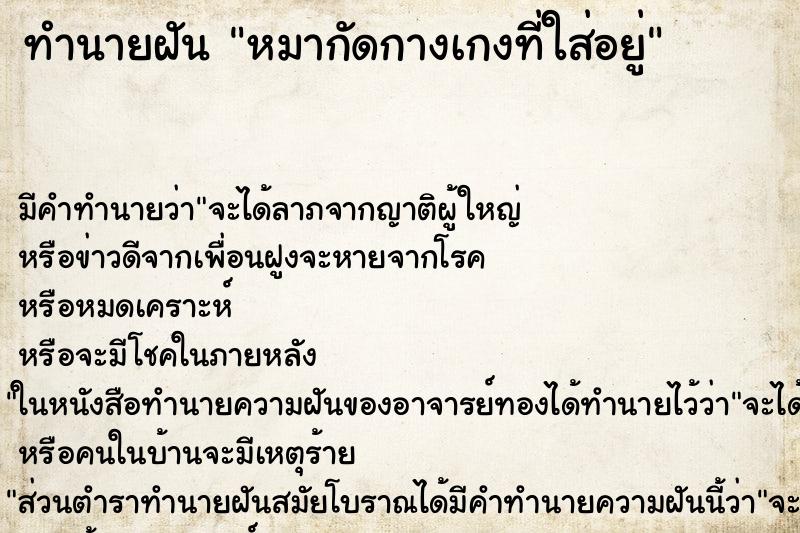 ทำนายฝัน หมากัดกางเกงที่ใส่อยู่ แม่นๆ ฟรี ด้วยตำราหนังสือทำนายฝันโบราณ ทำนายฝันหมากัดกางเกงที่ใส่อยู่