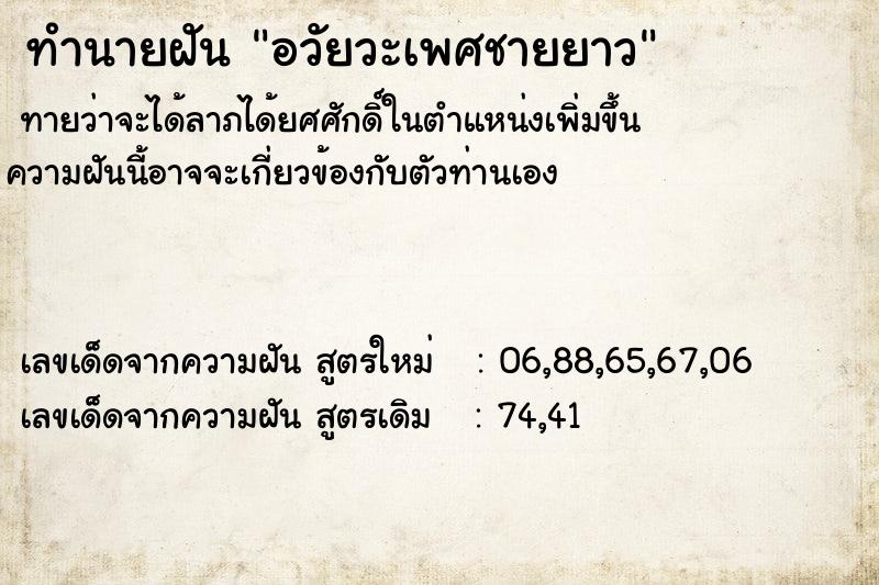 ทำนายฝันอวัยวะเพศชายยาว ทำนายฝันทำนายฝันอวัยวะเพศชายยาว