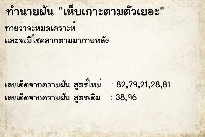ทำนายฝันเห็บเกาะตามตัวเยอะ ทำนายฝันทำนายฝันเห็บเกาะตามตัวเยอะ