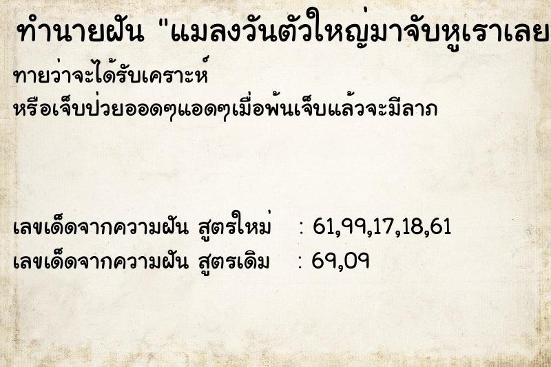 ทำนายฝันทำนายฝันแมลงวันตัวใหญ่มาจับหูเราเลยเอามือตีแต่มันไม่ตาย