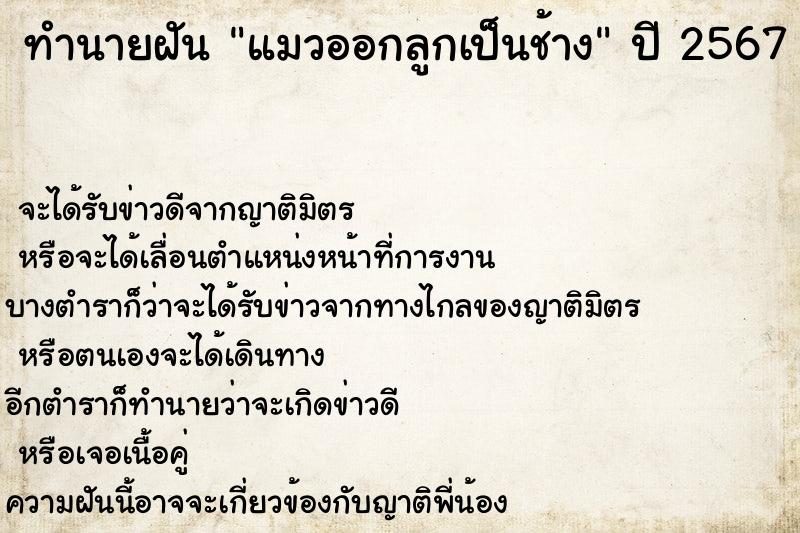 ทำนายฝันแมวออกลูกเป็นช้าง ทำนายฝันทำนายฝันแมวออกลูกเป็นช้าง