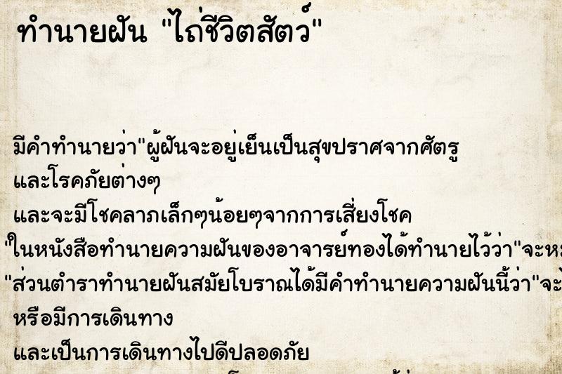 ทำนายฝัน ไถ่ชีวิตสัตว์ ทำนายฝัน ไถ่ชีวิตสัตว์