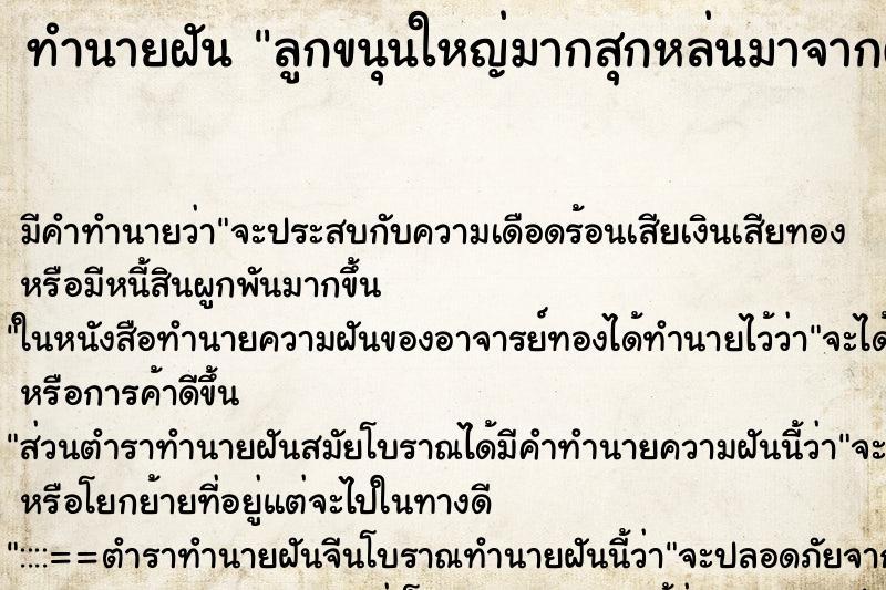 ทำนายฝันทำนายฝันลูกขนุนใหญ่มากสุกหล่นมาจากต้น