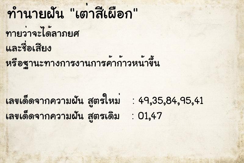 ทำนายฝันเต่าสีเผือก ทำนายฝันทำนายฝันเต่าสีเผือก
