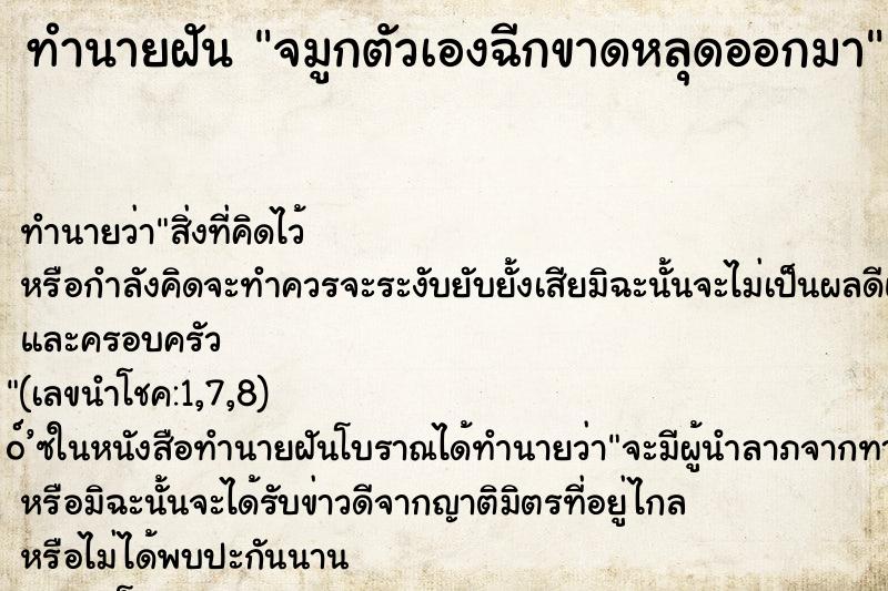 ทำนายฝัน จมูกตัวเองฉีกขาดหลุดออกมา