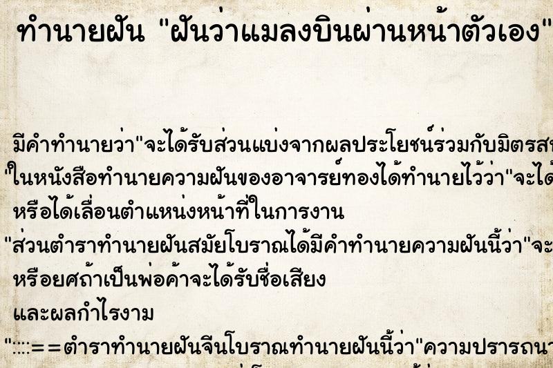 ทำนายฝันทำนายฝันฝันว่าแมลงบินผ่านหน้าตัวเอง