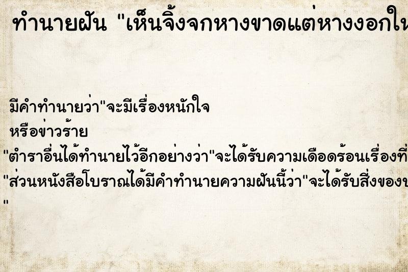 ทำนายฝัน เห็นจิ้งจกหางขาดแต่หางงอกใหม่ ทำนายฝัน เห็นจิ้งจกหางขาดแต่หางงอกใหม่