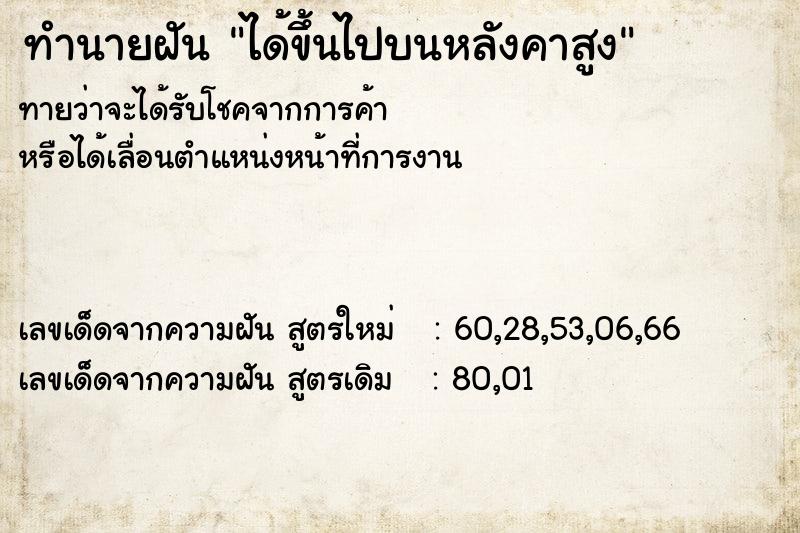 ทำนายฝัน ได้ขึ้นไปบนหลังคาสูง ทำนายฝัน ได้ขึ้นไปบนหลังคาสูง