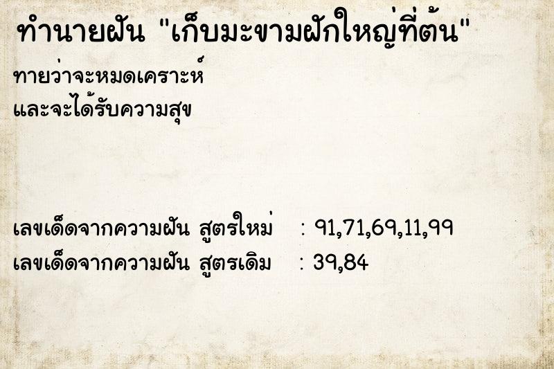 ทำนายฝันเก็บมะขามฝักใหญ่ที่ต้น ทำนายฝันทำนายฝันเก็บมะขามฝักใหญ่ที่ต้น