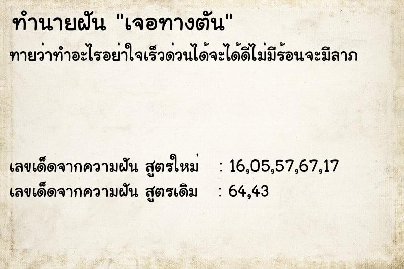 ทำนายฝัน เจอทางตัน ทำนายฝัน เจอทางตัน