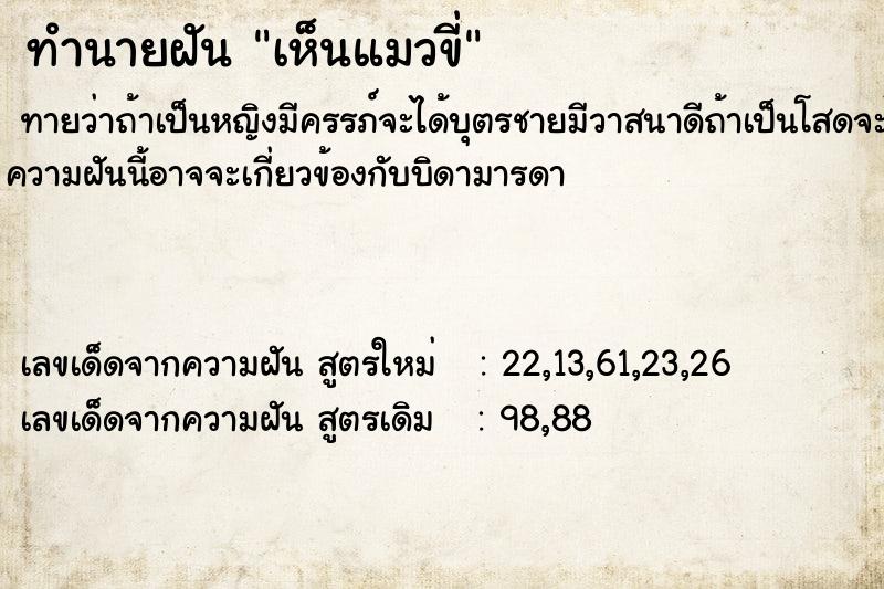 ทำนายฝันเห็นแมวขี่ ทำนายฝันทำนายฝันเห็นแมวขี่