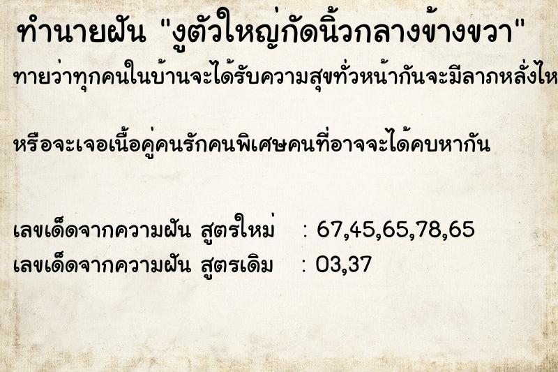 ทำนายฝันงูตัวใหญ่กัดนิ้วกลางข้างขวา ทำนายฝันทำนายฝันงูตัวใหญ่กัดนิ้วกลางข้างขวา