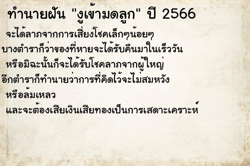 ทำนายฝัน งูเข้ามดลูก ทำนายฝัน งูเข้ามดลูก