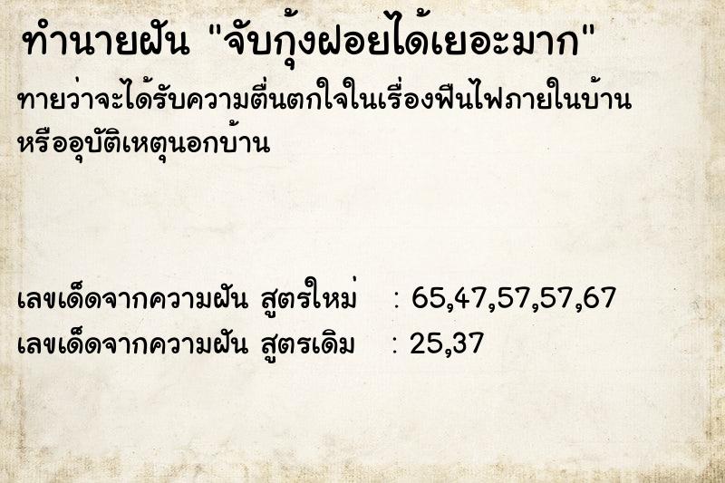 ทำนายฝันจับกุ้งฝอยได้เยอะมาก ทำนายฝันทำนายฝันจับกุ้งฝอยได้เยอะมาก